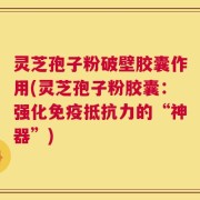 灵芝孢子粉破壁胶囊作用(灵芝孢子粉胶囊：强化免疫抵抗力的“神器”)