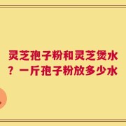 灵芝孢子粉和灵芝煲水？一斤孢子粉放多少水