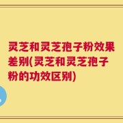 灵芝和灵芝孢子粉效果差别(灵芝和灵芝孢子粉的功效区别)