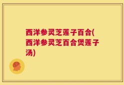 西洋参灵芝莲子百合(西洋参灵芝百合煲莲子汤)