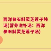 西洋参石斛灵芝莲子炖汤(营养滋补汤：西洋参石斛灵芝莲子汤)