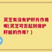 灵芝有没有护肝片作用呢(灵芝可否起到保护肝脏的作用？)