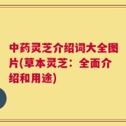 中药灵芝介绍词大全图片(草本灵芝：全面介绍和用途)
