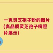 一克灵芝孢子粉的图片(高品质灵芝孢子粉照片展示)