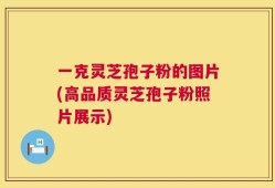 一克灵芝孢子粉的图片(高品质灵芝孢子粉照片展示)