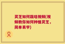 灵芝如何栽培视频(视频教你如何种植灵芝，简单易学)