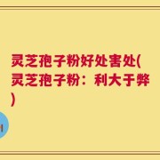 灵芝孢子粉好处害处(灵芝孢子粉：利大于弊)