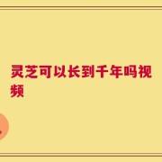 灵芝可以长到千年吗视频