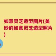 如意灵芝造型图片(美妙的如意灵芝造型照片)