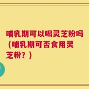 哺乳期可以喝灵芝粉吗 (哺乳期可否食用灵芝粉？)