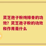 灵芝孢子粉炖排骨的功效？灵芝孢子粉的功效和作用是什么