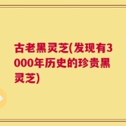 古老黑灵芝(发现有3000年历史的珍贵黑灵芝)