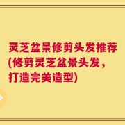 灵芝盆景修剪头发推荐(修剪灵芝盆景头发，打造完美造型)