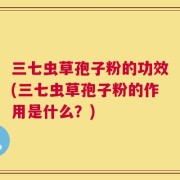 三七虫草孢子粉的功效(三七虫草孢子粉的作用是什么？)