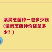紫灵芝菌种一包多少钱(紫灵芝菌种价格是多少？)