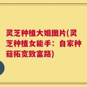 灵芝种植大姐图片(灵芝种植女能手：自家种菇拓宽致富路)