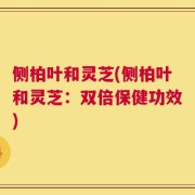 侧柏叶和灵芝(侧柏叶和灵芝：双倍保健功效)