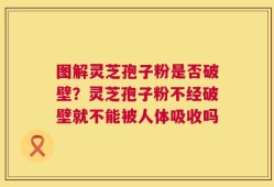图解灵芝孢子粉是否破壁？灵芝孢子粉不经破壁就不能被人体吸收吗