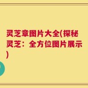 灵芝章图片大全(探秘灵芝：全方位图片展示)