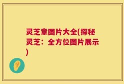 灵芝章图片大全(探秘灵芝：全方位图片展示)