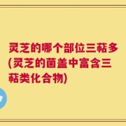 灵芝的哪个部位三萜多(灵芝的菌盖中富含三萜类化合物)