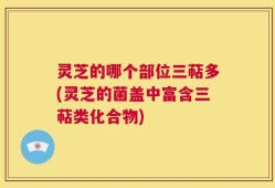 灵芝的哪个部位三萜多(灵芝的菌盖中富含三萜类化合物)