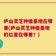 庐山灵芝种植基地在哪里(庐山灵芝种植基地的位置在哪里？)