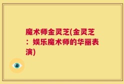 魔术师金灵芝(金灵芝：娱乐魔术师的华丽表演)