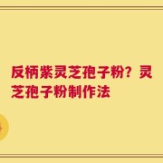 反柄紫灵芝孢子粉？灵芝孢子粉制作法