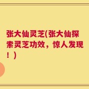 张大仙灵芝(张大仙探索灵芝功效，惊人发现！)