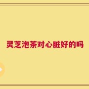 灵芝泡茶对心脏好的吗