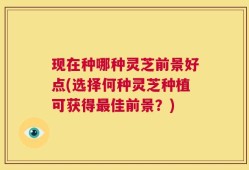 现在种哪种灵芝前景好点(选择何种灵芝种植可获得最佳前景？)