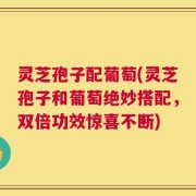 灵芝孢子配葡萄(灵芝孢子和葡萄绝妙搭配，双倍功效惊喜不断)