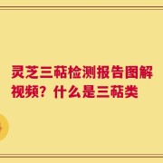 灵芝三萜检测报告图解视频？什么是三萜类