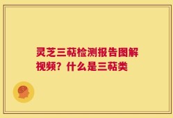 灵芝三萜检测报告图解视频？什么是三萜类