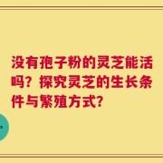 没有孢子粉的灵芝能活吗？探究灵芝的生长条件与繁殖方式？