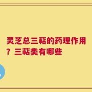 灵芝总三萜的药理作用？三萜类有哪些