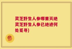 灵芝野生人参哪里灭绝灵芝野生人参已绝迹何处觅寻)