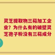 灵芝提取物三萜加工企业？为什么有的破壁灵芝孢子粉没有三萜成分