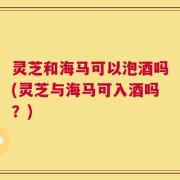 灵芝和海马可以泡酒吗(灵芝与海马可入酒吗？)