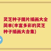 灵芝种子图片插画大全简单(丰富多彩的灵芝种子插画大合集)