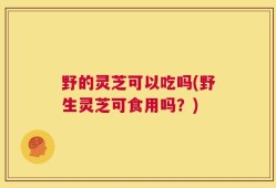 野的灵芝可以吃吗(野生灵芝可食用吗？)