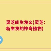 灵芝能生发么(灵芝：新生发的神奇植物)
