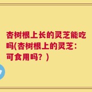 杏树根上长的灵芝能吃吗(杏树根上的灵芝：可食用吗？)