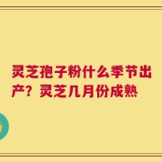 灵芝孢子粉什么季节出产？灵芝几月份成熟
