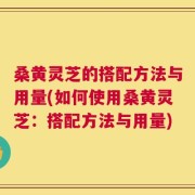 桑黄灵芝的搭配方法与用量(如何使用桑黄灵芝：搭配方法与用量)