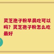 灵芝孢子粉早晨吃可以吗？灵芝孢子粉怎么吃最好