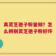 真灵芝孢子粉鉴别？怎么辨别灵芝孢子粉好坏