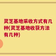 灵芝基地采收方式有几种(灵芝基地收获方法有几种)