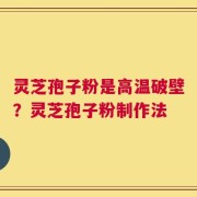 灵芝孢子粉是高温破壁？灵芝孢子粉制作法